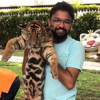 danielraj3625