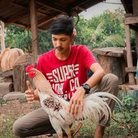 a30699800617