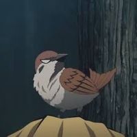 nanami1822