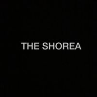 theshorea