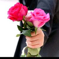 aashirazaaashiraz