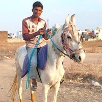amershaikh823