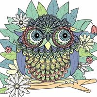 sweet_owl_nagoya