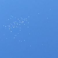 オリジナル楽曲 - Коиа°doyle☔️