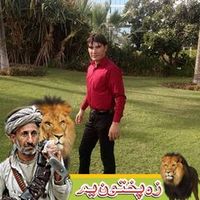 muhammadidrees661