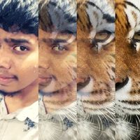 imran5i