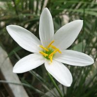 original sound - Me_Ria_Moorthy