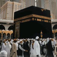 saadmamalik2