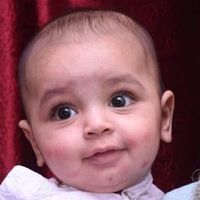 areebaashraf35