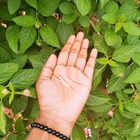 adithyaadhi09