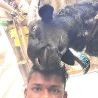 user965901832