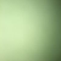 はじめてのおつかい