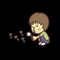 user43792406256020