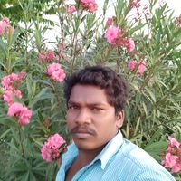 user733611480814