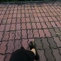ng.anhh0209