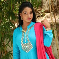 nirajareddy