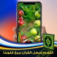 original sound - umarunakowamohammed