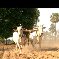 original sound - အလင္း ေရာင္