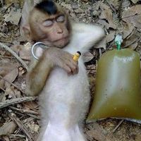 wincentliew7