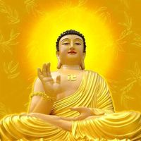 phungdiep_8278