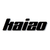 kaizo31000