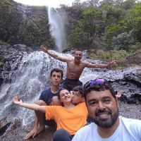 alexlinhas
