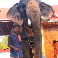 vishnuvijayan837