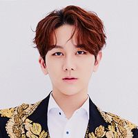 excellent.chan