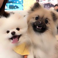오리지널 사운드 - Reo_Kuma_ken