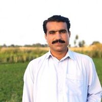 waqifmazari