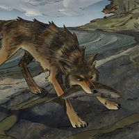 seawolfed