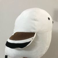 tsujicco