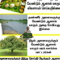 bala_2605_