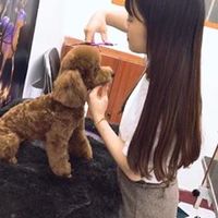 hachiko_pet_spa