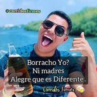 dinastiaflores
