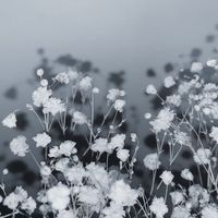 オリジナル楽曲 - ハ レ .