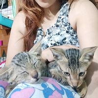 kittunddaisy3