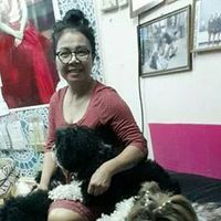sixdog
