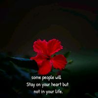 mr_irrfan_18
