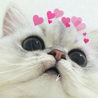 nhạc nền - Cháy nhất fi fai 🐣
