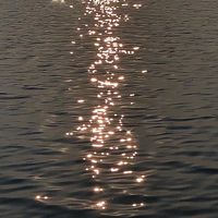 xxsakixx_0