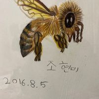 dyevgwz96jdr