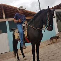 cozipinha