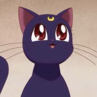 notafriendlycat