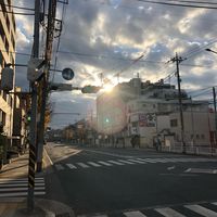 takuhonmoku