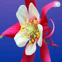 usersenthil27