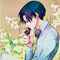nhạc nền - アニメ🇯🇵