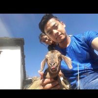deepaksinghbora70