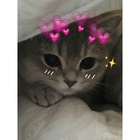 kimkimlovenha5599