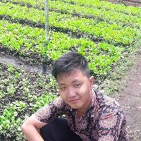 suara asli - Richard Chen Lly